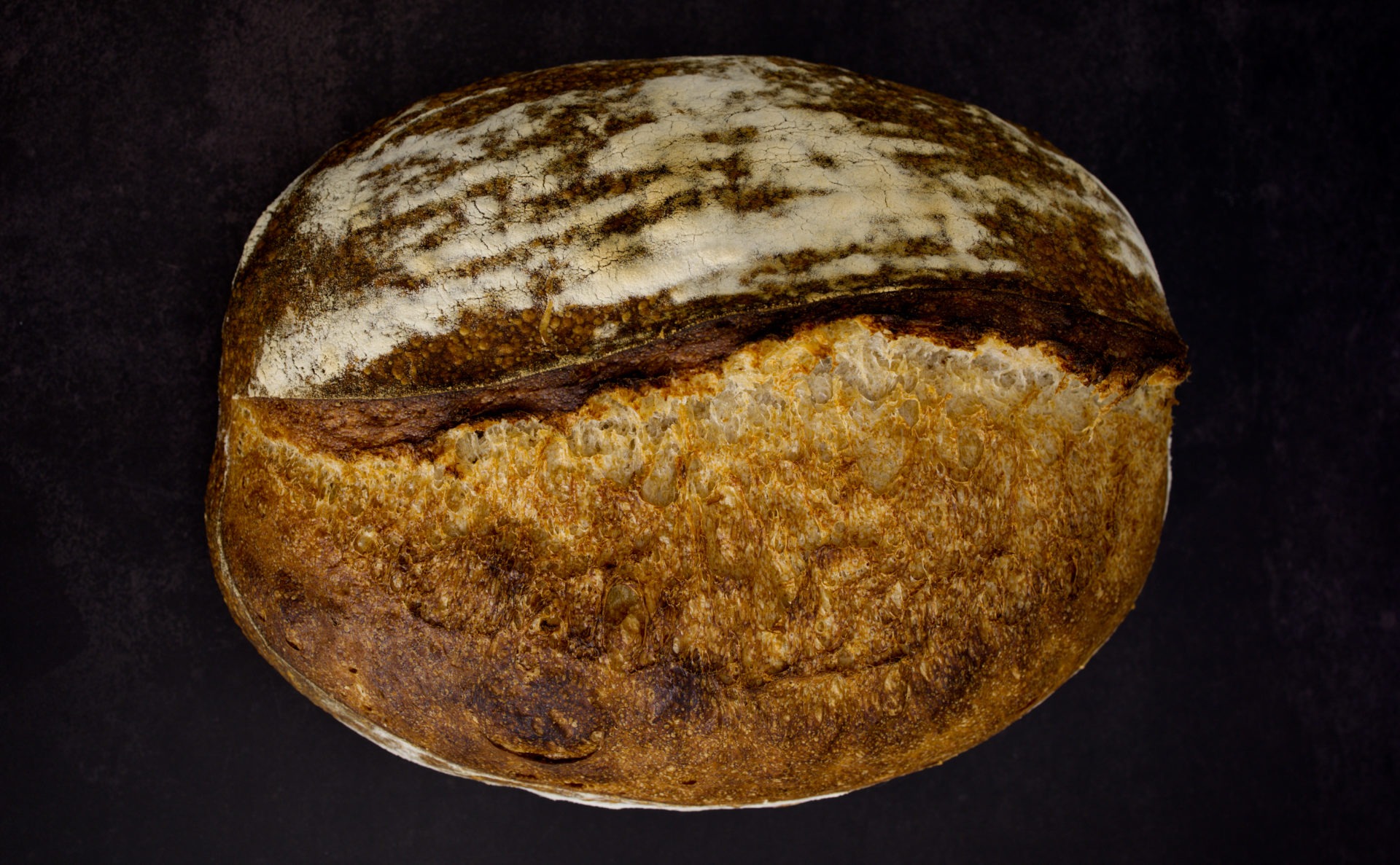 Landbrot mit Sauerteig - krachende Kruste offene Krume - el gusto